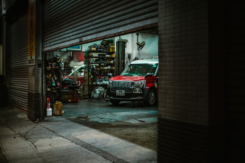 pexels-photo-19186528