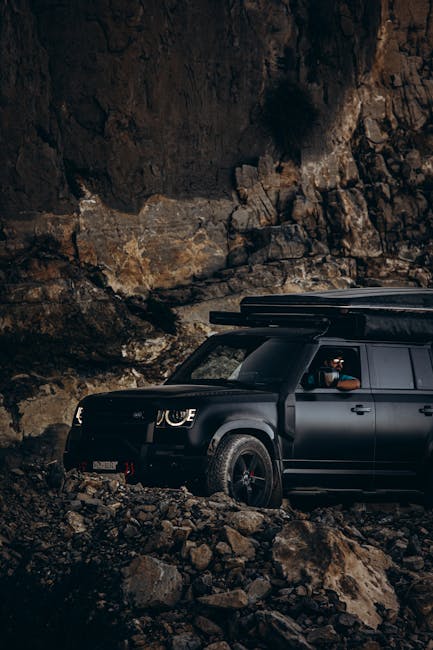 pexels-photo-31078606